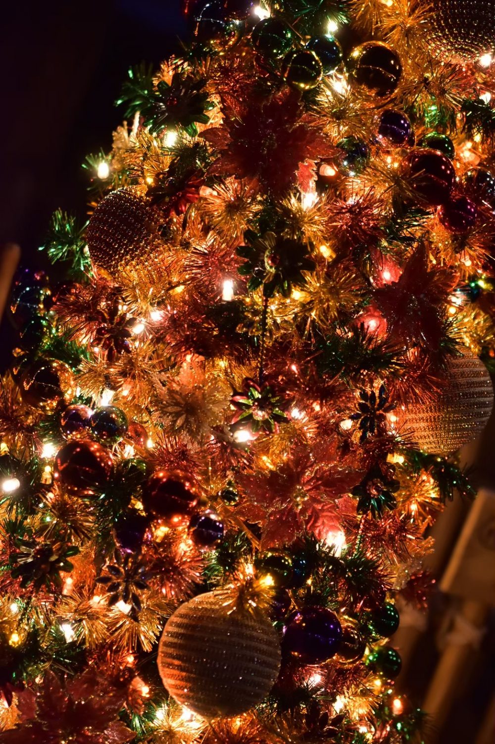 東京ディズニーシー「ディズニー・クリスマス」2019