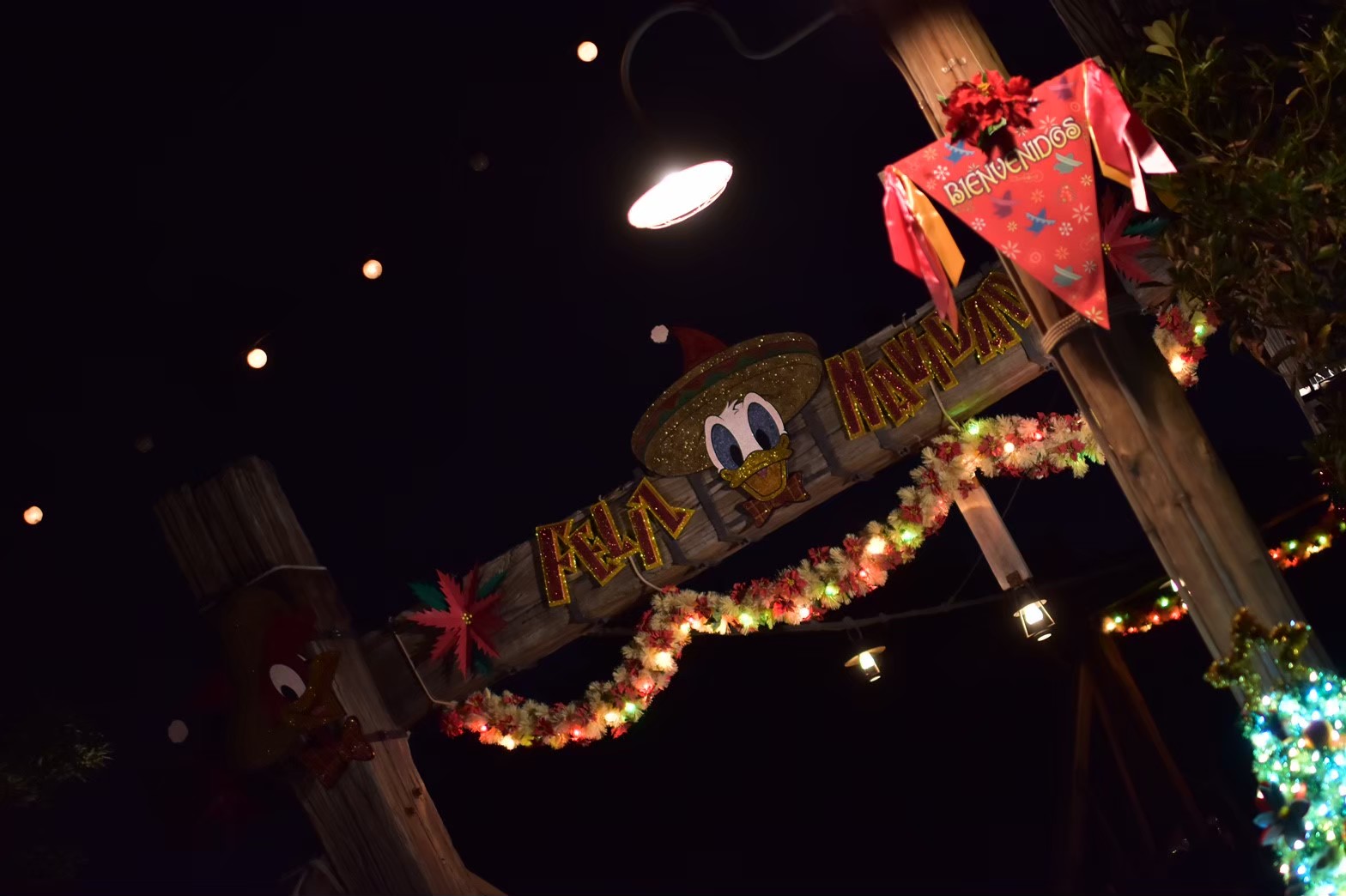 東京ディズニーシー「ディズニー・クリスマス」2019