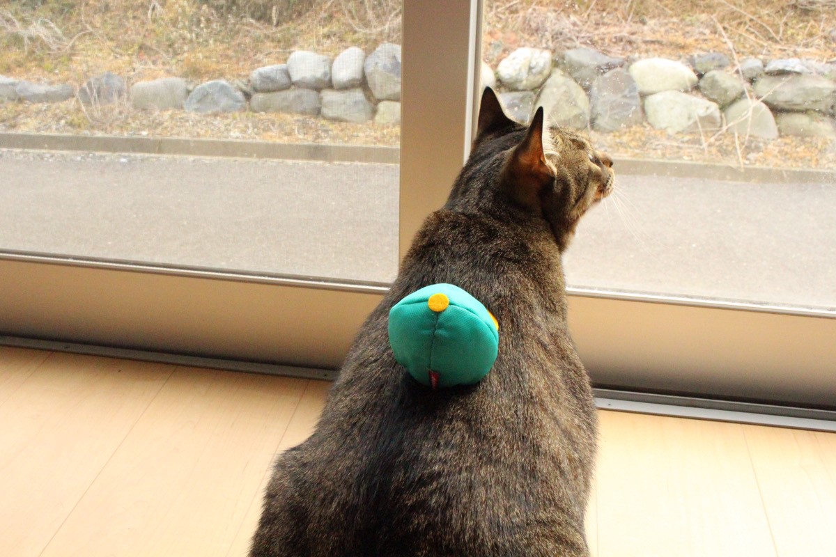 Petio（ペティオ)「のせぐるみ」520円（税込み）