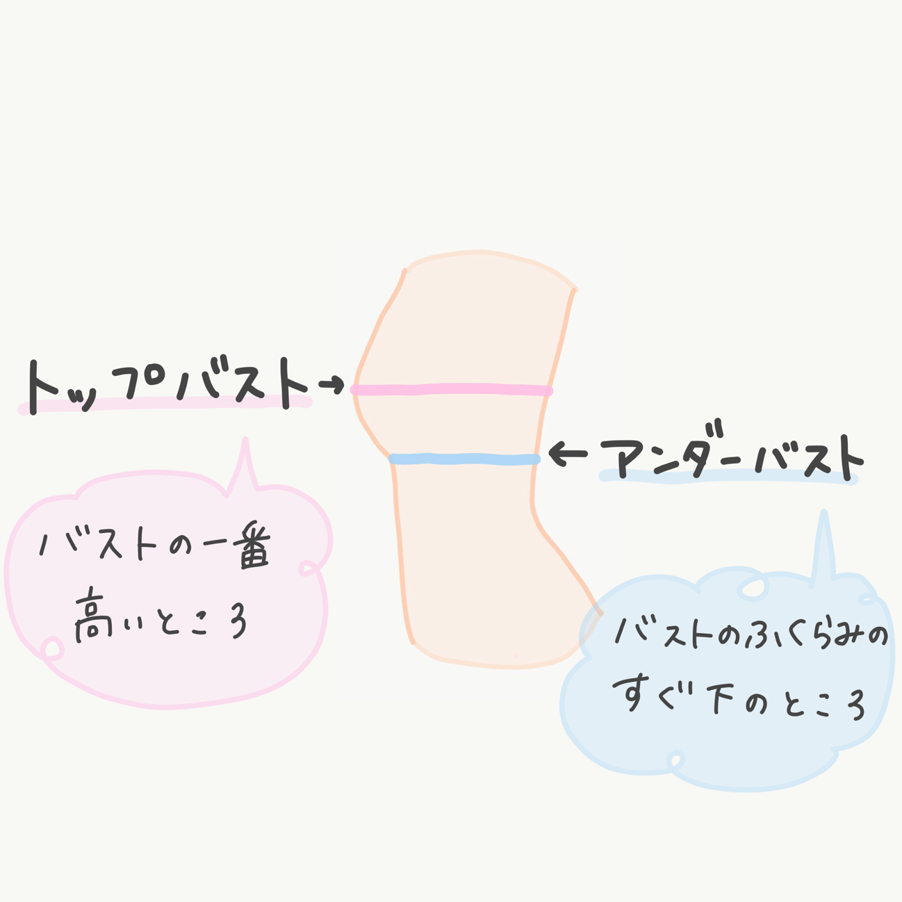 Eカップは本当に巨乳？　トップバスト・アンダーバスト