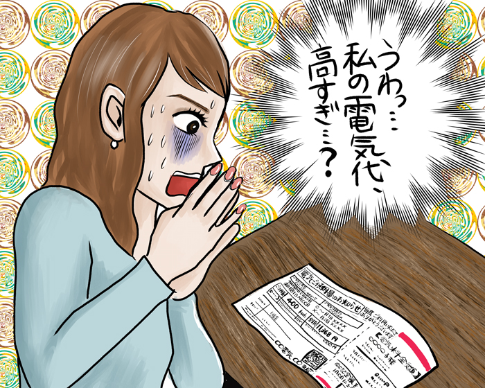 私の電気代高すぎ