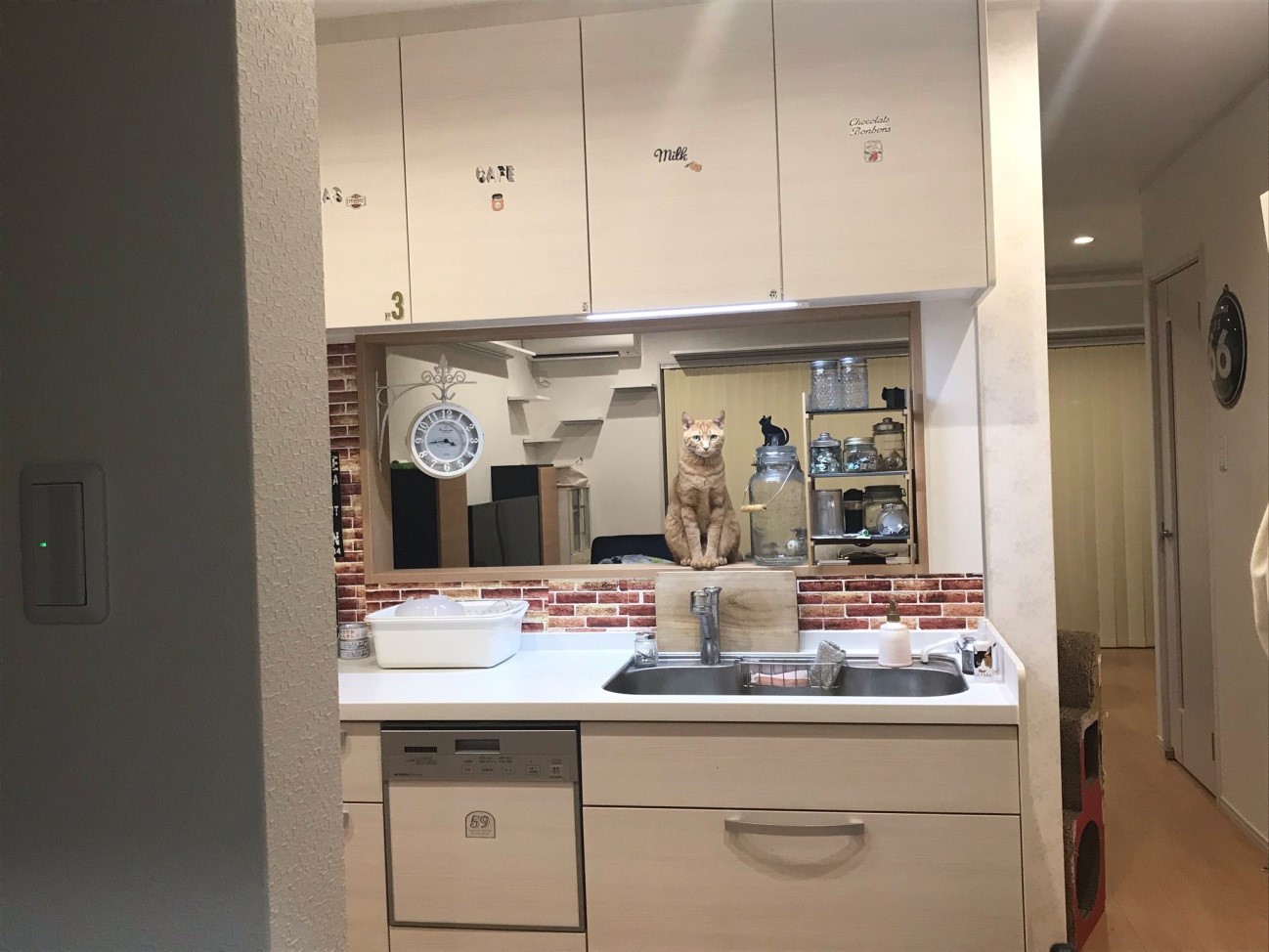 パスツレラ症　犬猫　病気