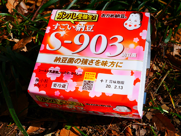 ヨーグルトやキャンディ 花粉症対策にはどう選ぶ？最新トレンド