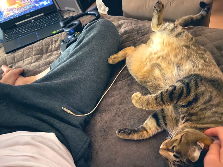 『ゲイバーのもちぎさん』(1) (Palcy・講談社、2月13日刊)