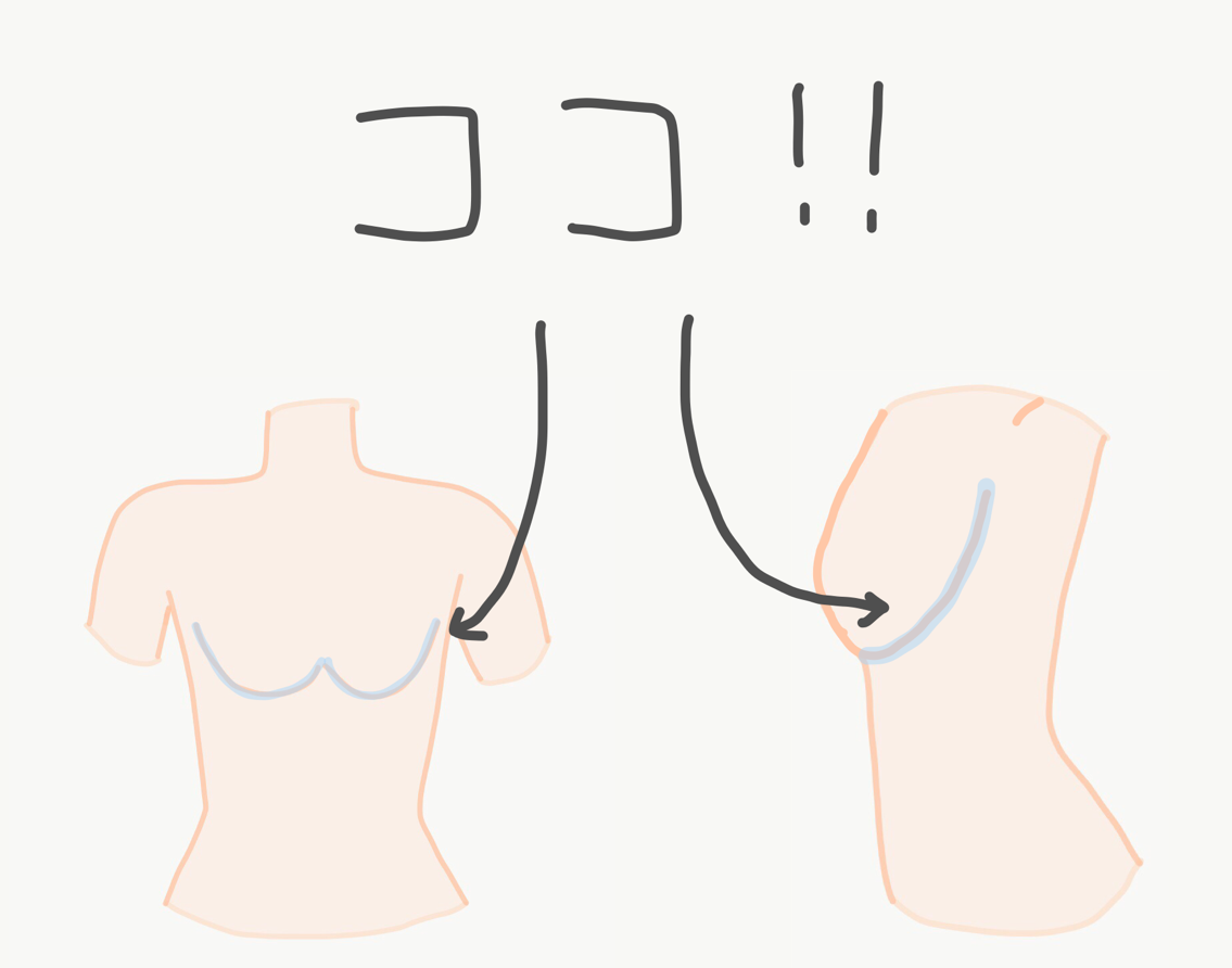 知っておくと便利な下着用語