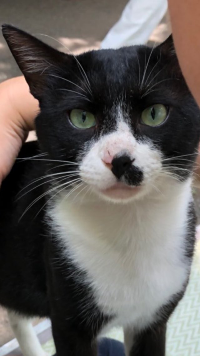 かーこ（@baby_nuco）さん宅、アンドリューくん（推定5歳）