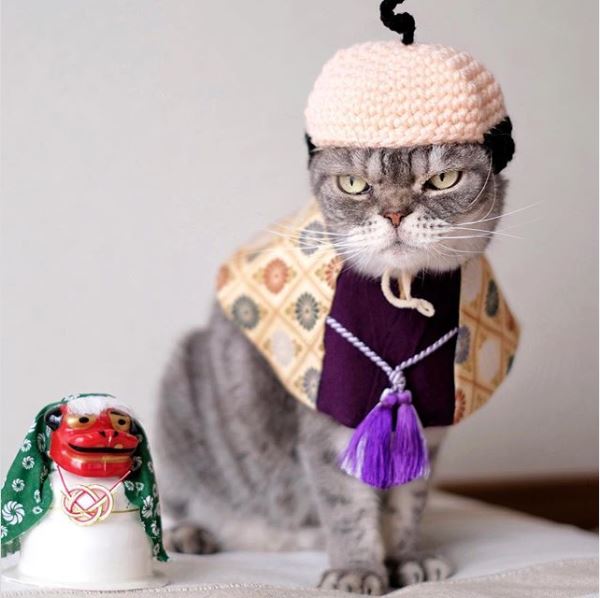 なお（@nao_co5）さんの宅の愛猫、両極端コンビ「ワル顔」ココ先輩と「ドーリーフェイス」の金さん