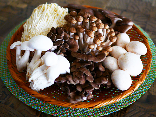 子供にもお手伝い可能！ 定番料理がグーンとおいしくなる 大量ストック料理「きのこのラグー」の作り方