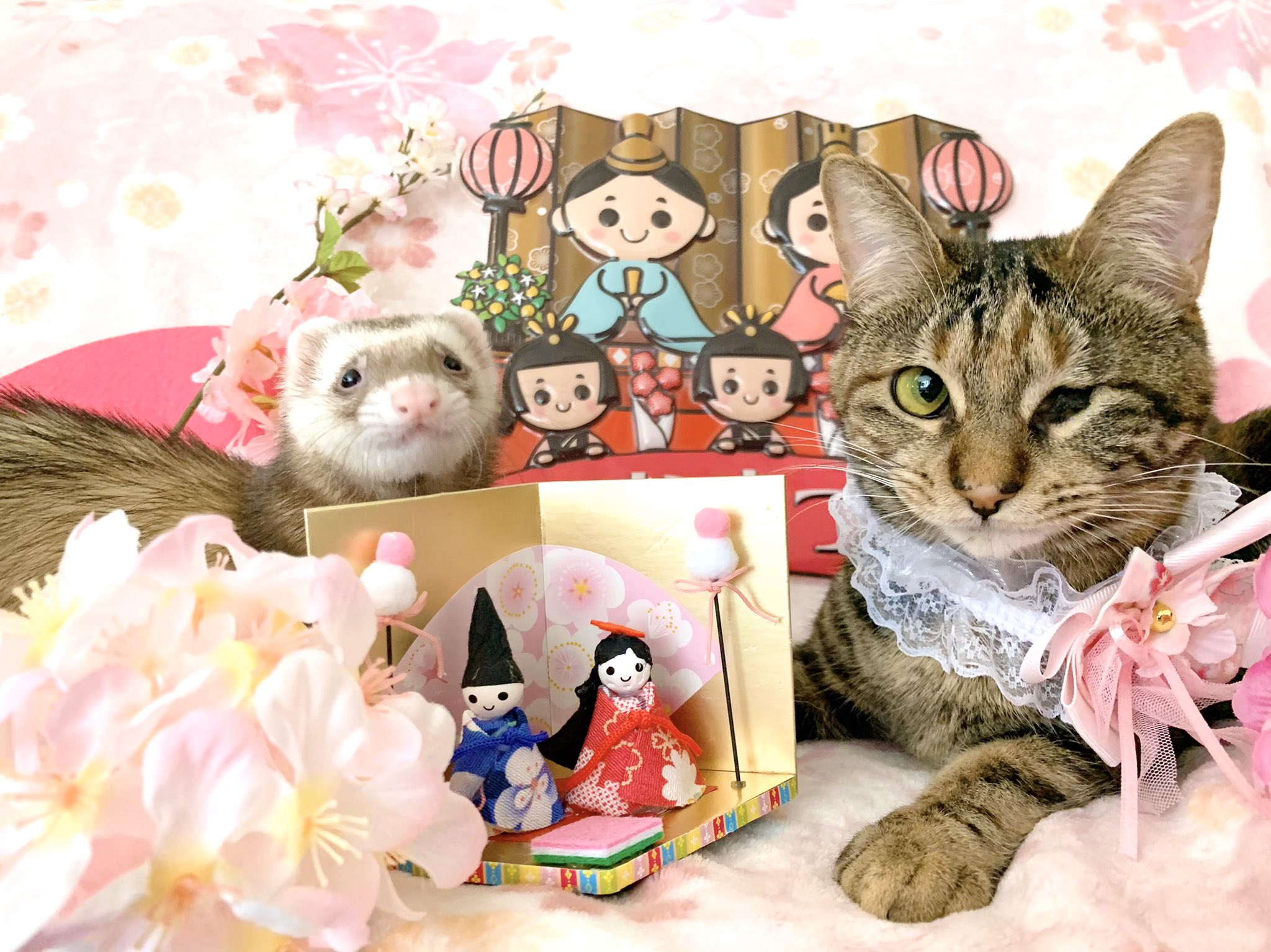 @2oniTomoさん宅で暮らす桃子ちゃん（1歳/女の子）