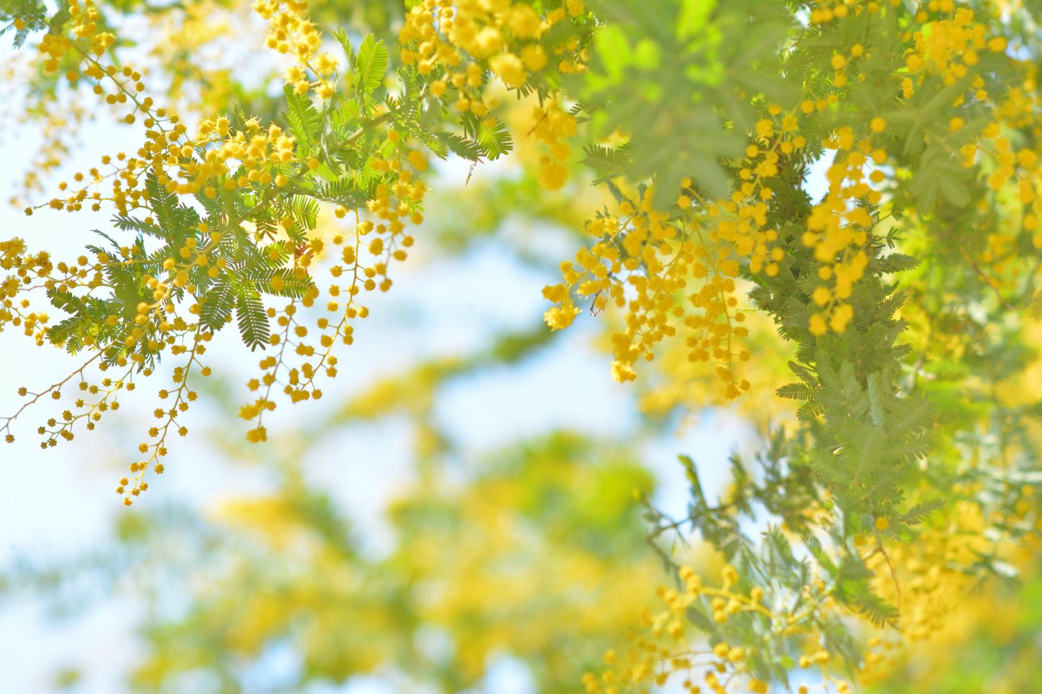 相談に応える前に