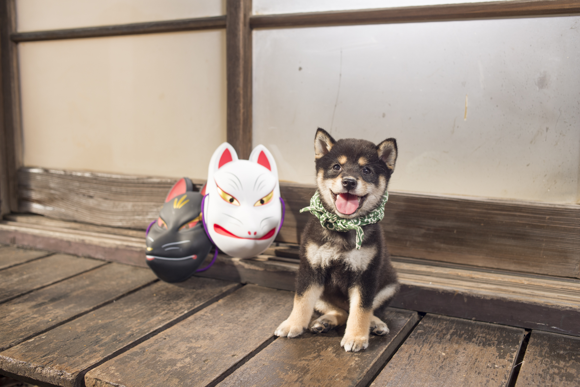 『二代目和風総本家』（テレビ東京系）「豆助っていいな。」