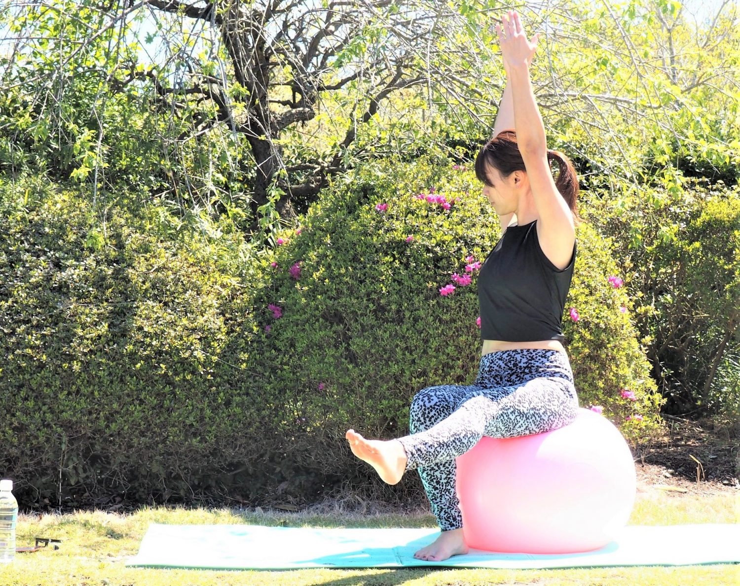 （4） 背筋を伸ばしたまま上半身を右側にねじる～1分間キープ