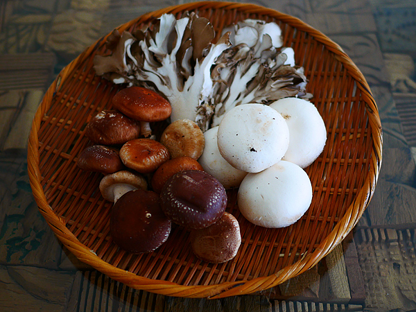 自宅で冷凍野菜 アタリハズレの見分け方