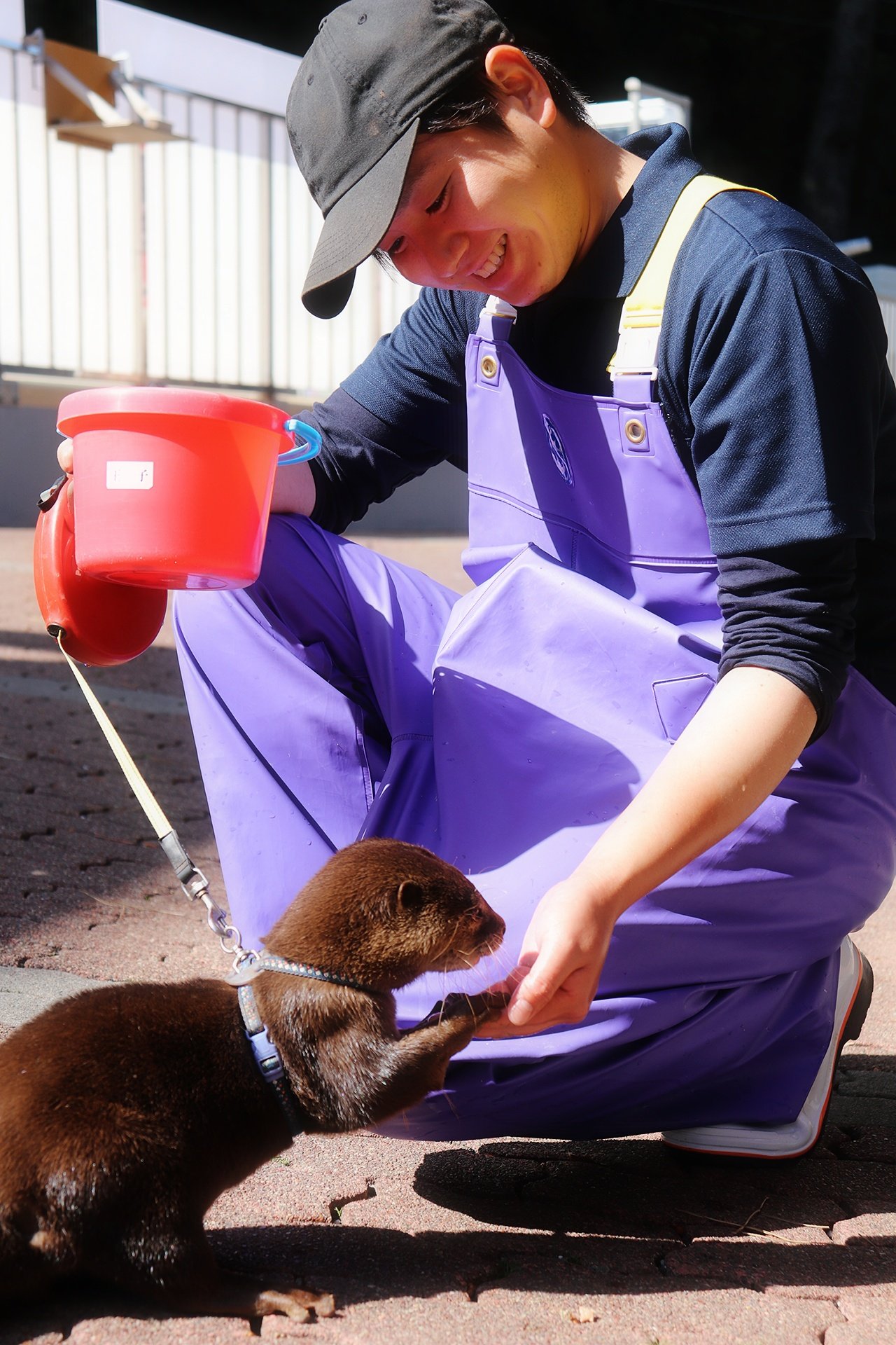 実は元ヤンキーな「せーいち」さん。リクガメ・カピバラ・ペンギン・魚と教育活動を担当