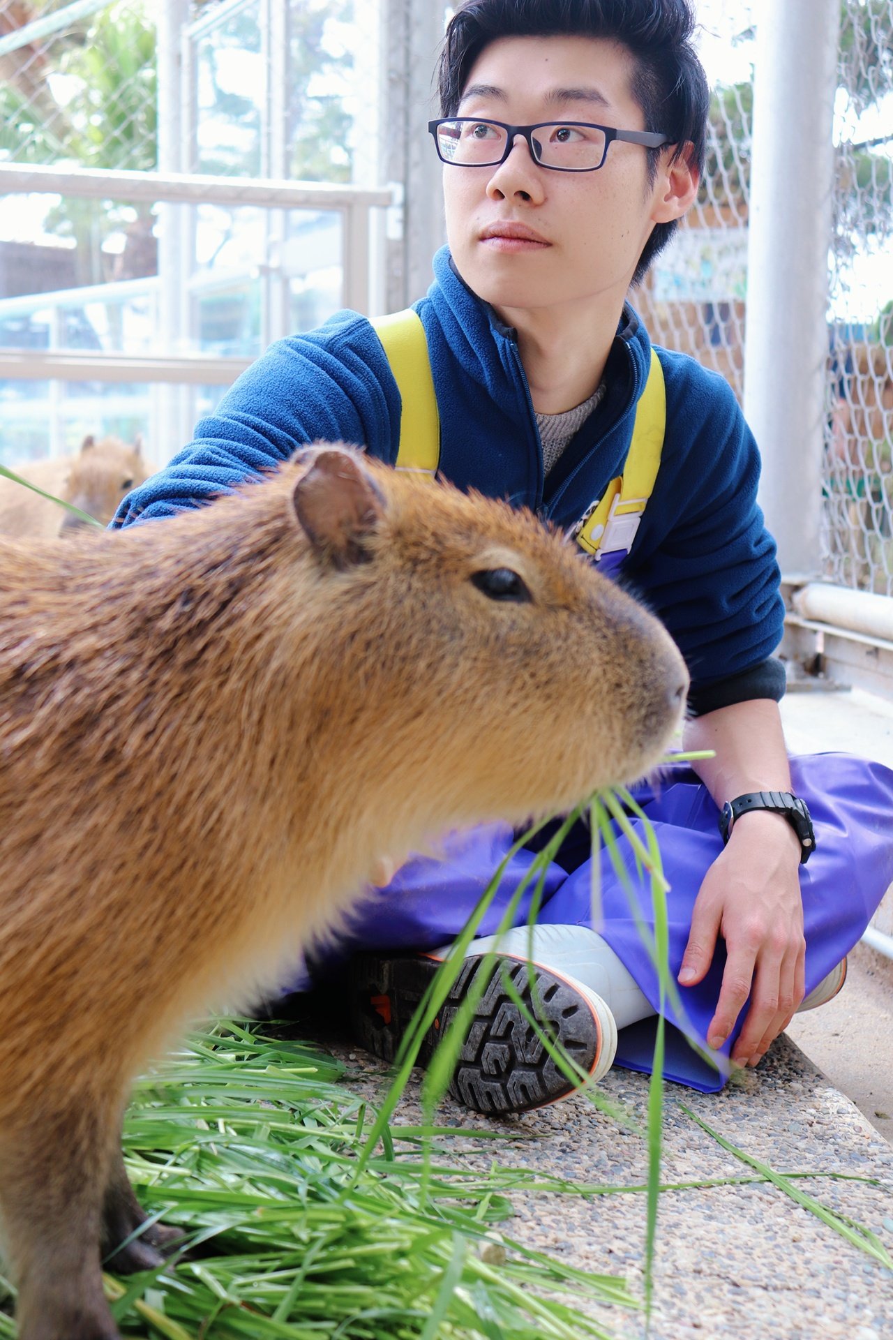 真面目で気配り上手な「ウラ」さん。リクガメ・カピバラ・ペンギン・魚と教育活動を担当