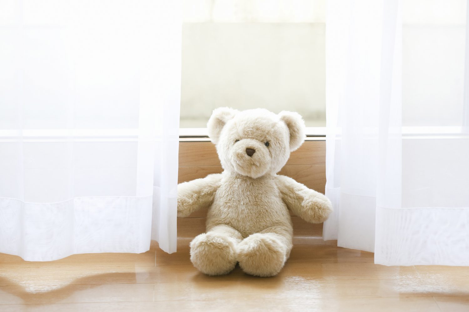 ぬいぐるみ病院に聞く「ぬいぐるみの洗濯・ケア方法」