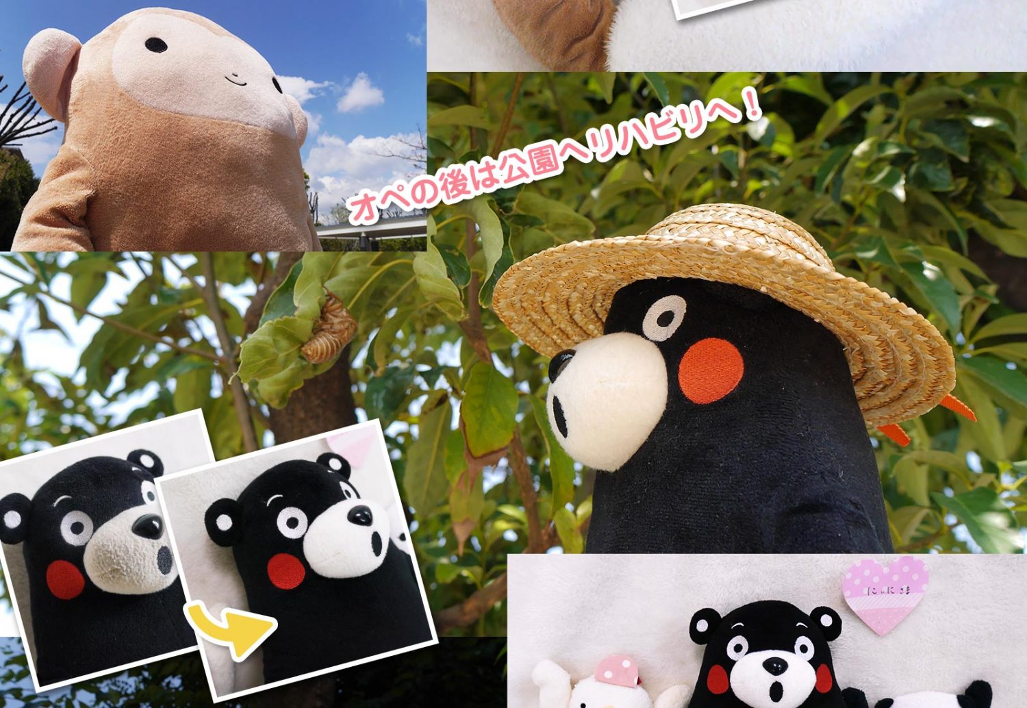 お湯につけて洗う方法