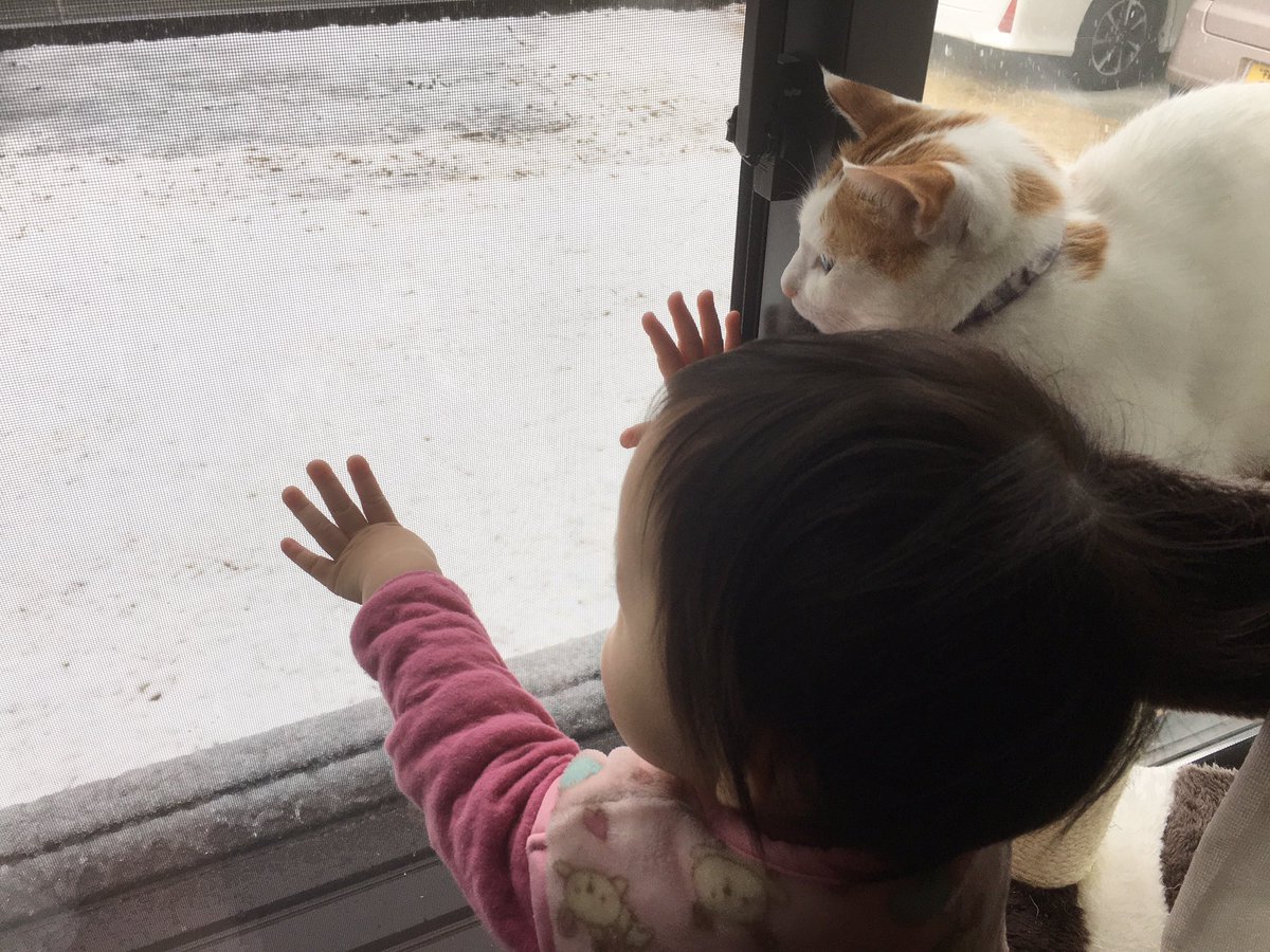 @mugi411さんの娘さんが生まれて初めて見る雪を、隣で一緒に見てくれているむぎくん