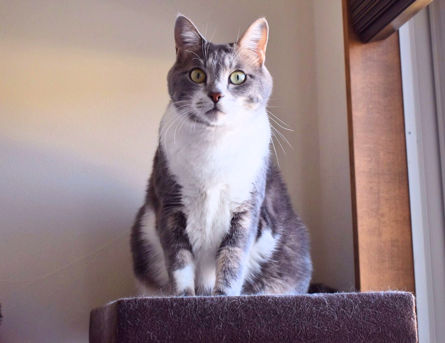 ↑ぼくがいちばん！