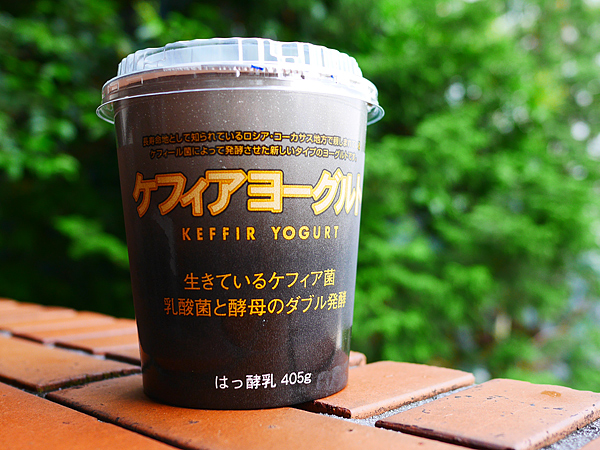 本気のヨーグルト選び