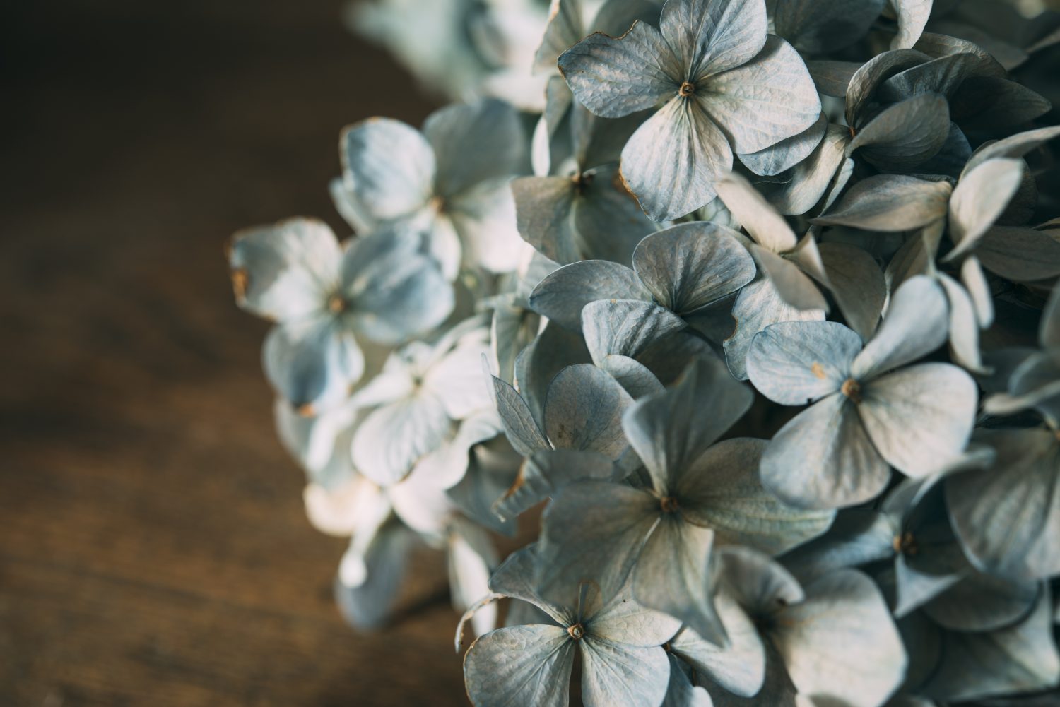 「不貞行為（性交渉）」があったら不倫