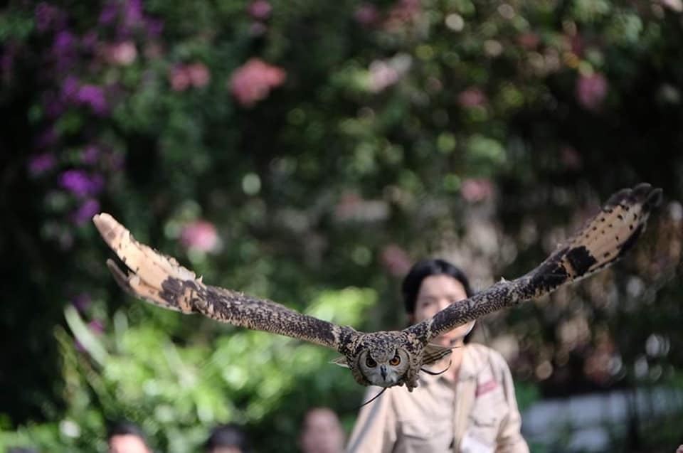 神戸どうぶつ王国