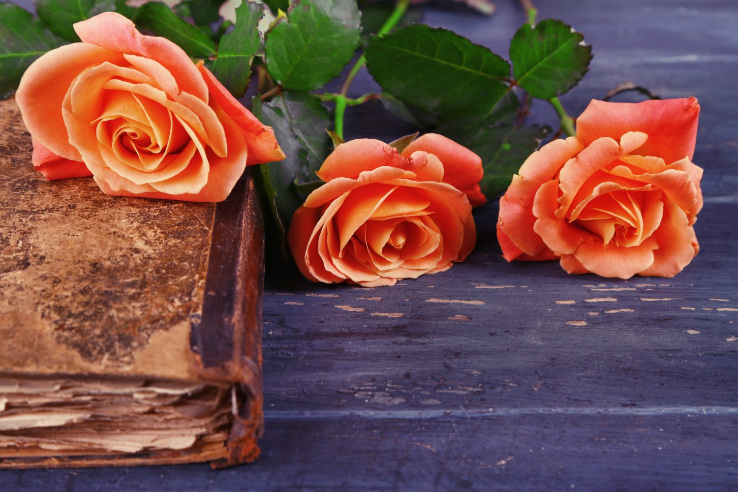 NTRというエロのジャンルに当てはまる