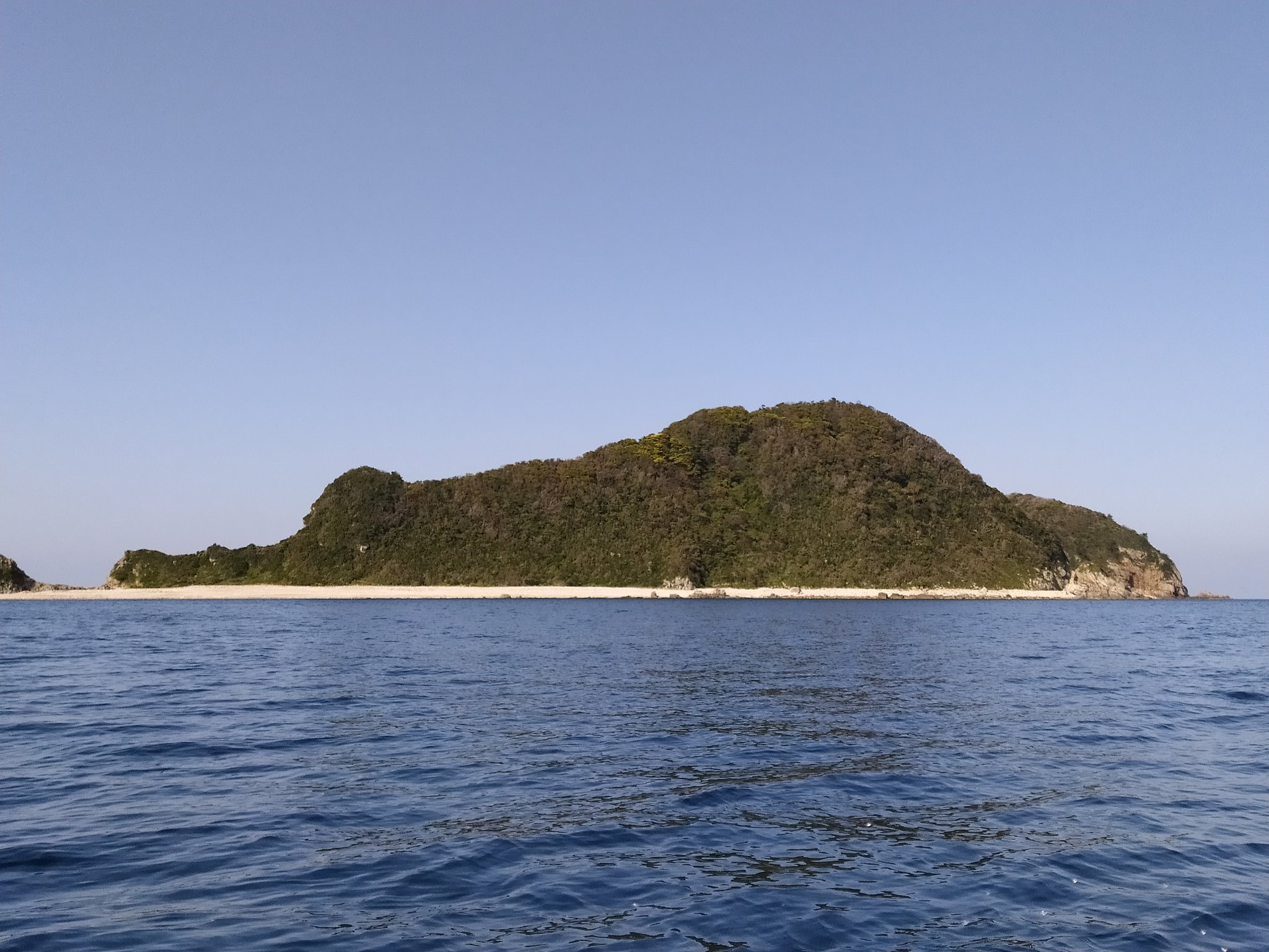 無人島ステイホーム