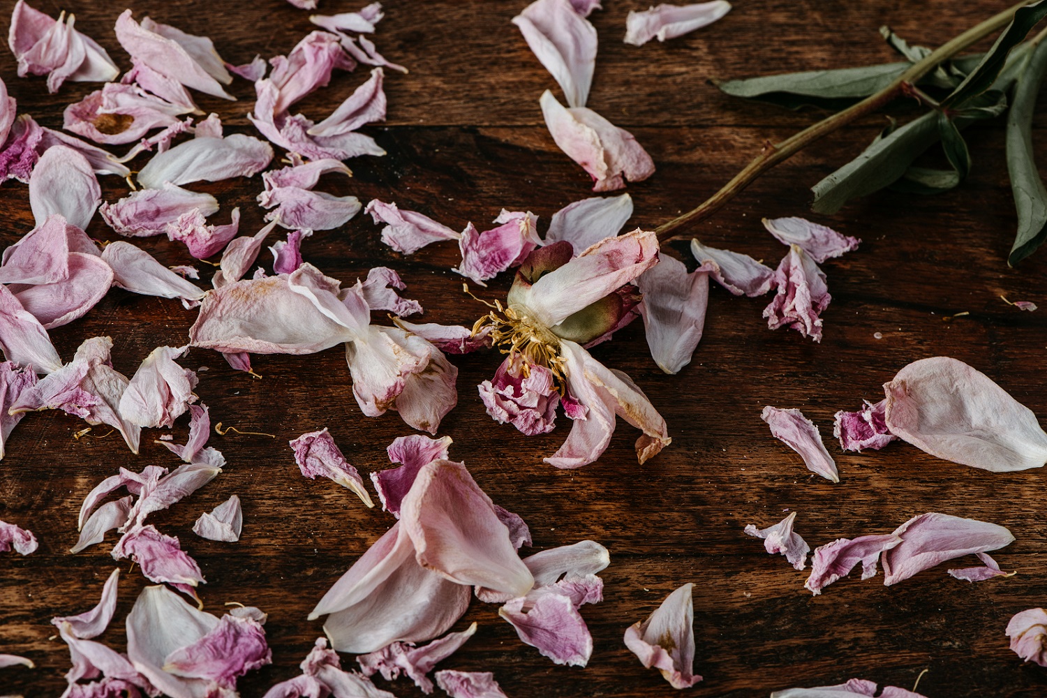 自傷かなぁというのが率直な感想です