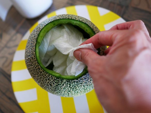 まるごとメロンケーキ