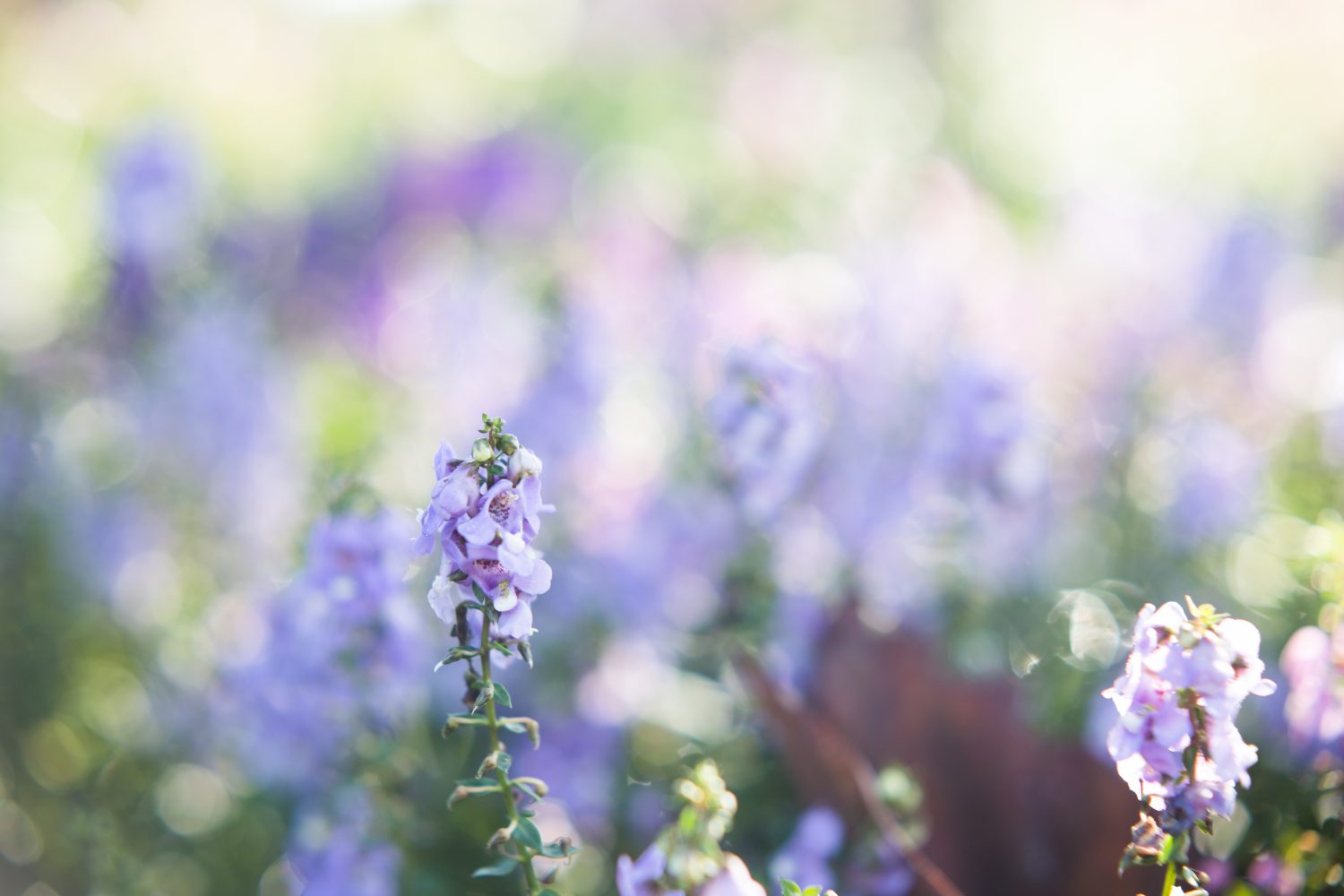 大人になった今は感謝している