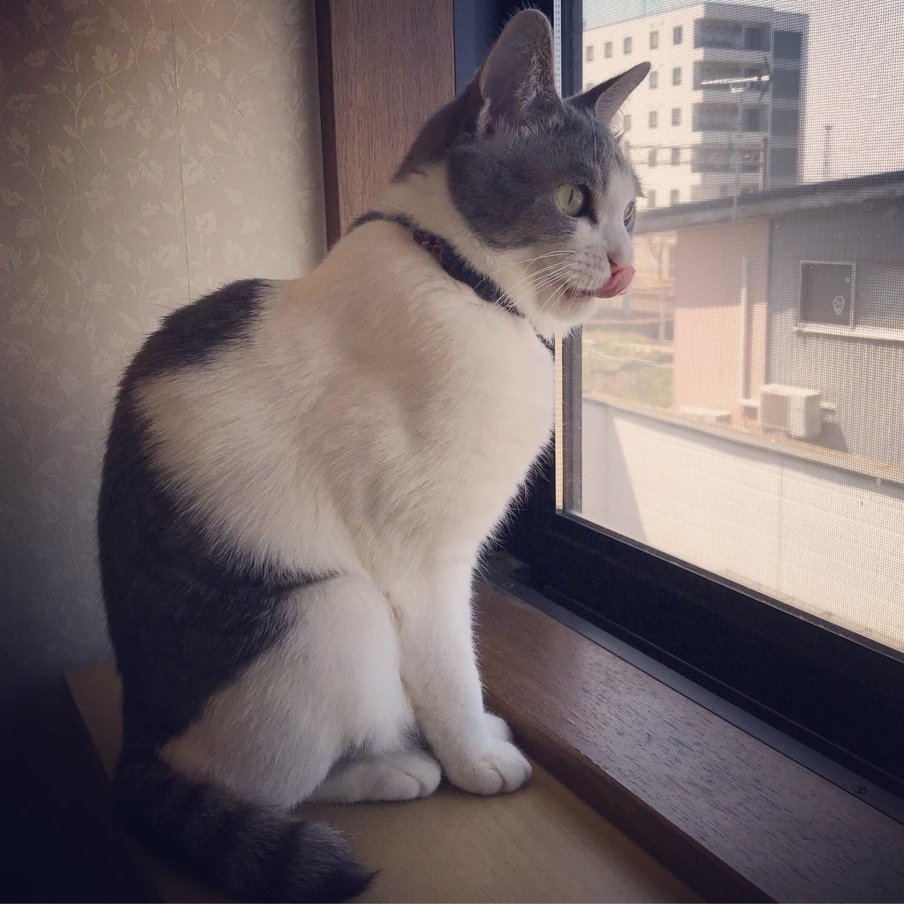 「生まれてきてくれたことに感謝」とあささん