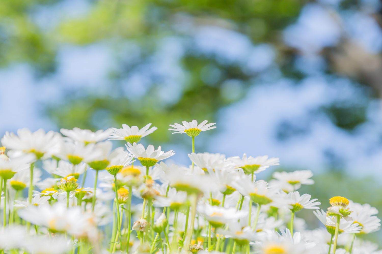 もっと自分本位で生きていいんです