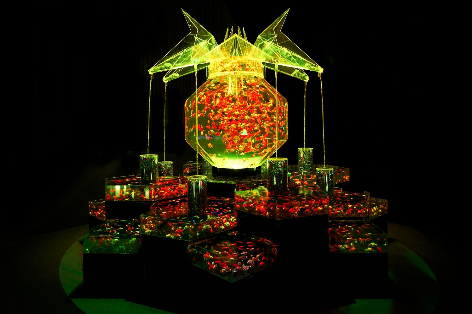 アートアクアリウム美術館