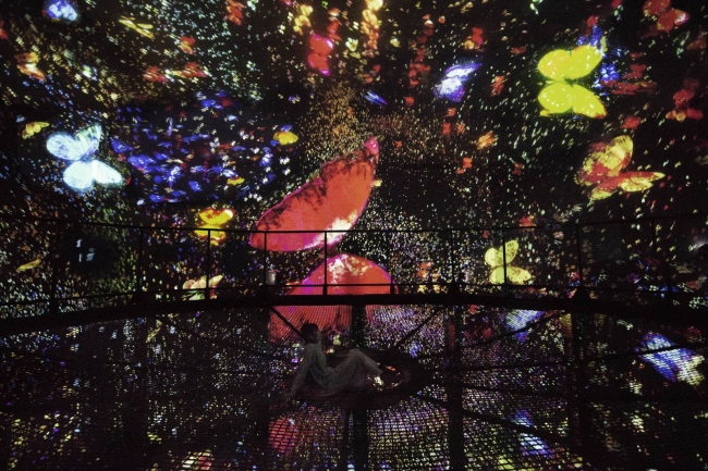 チームラボ ボーダレス