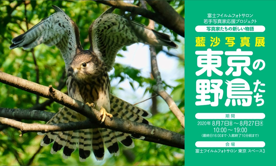 フジフイルムスクエア