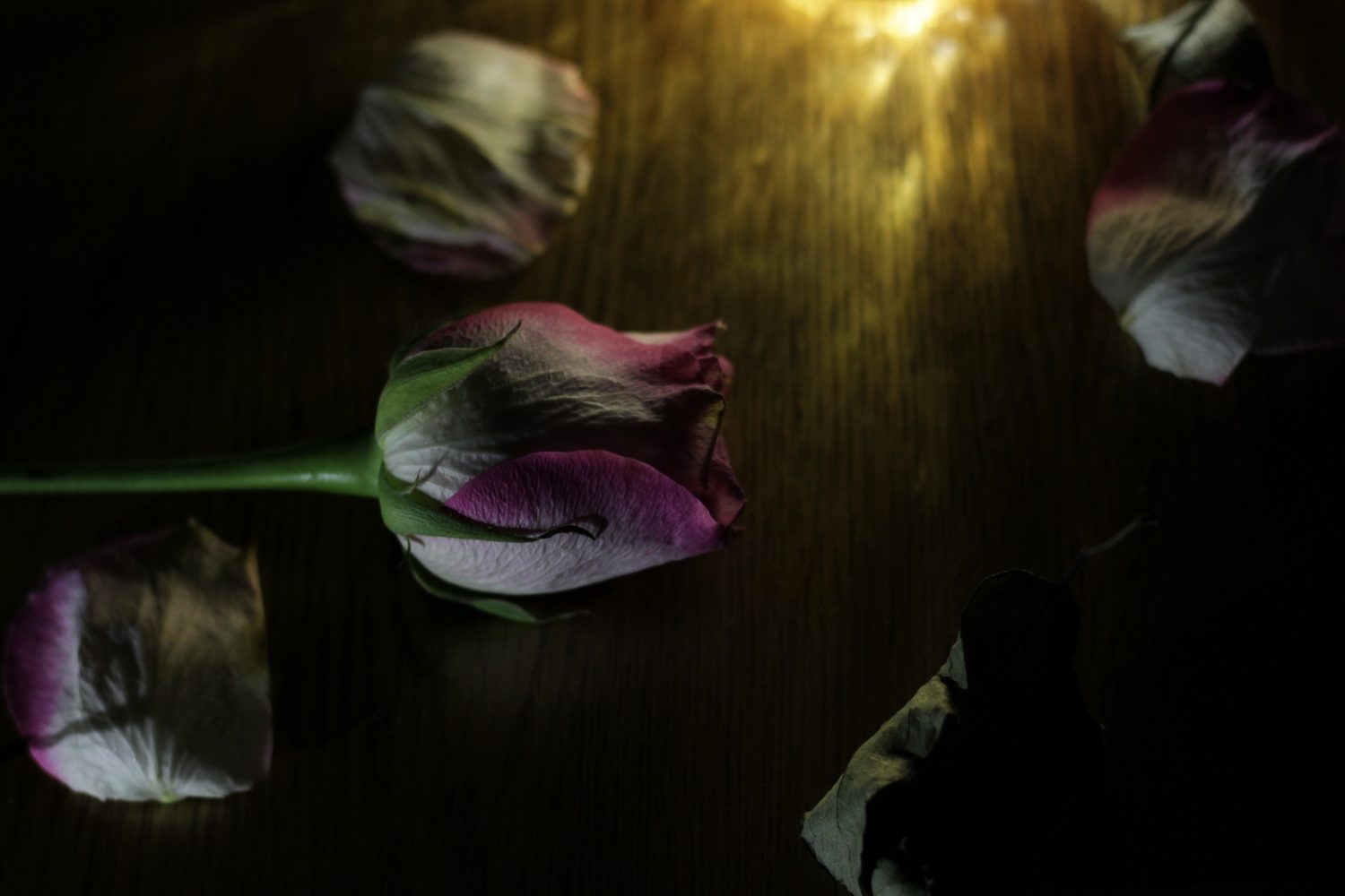 不倫相手はとんでもないクズ