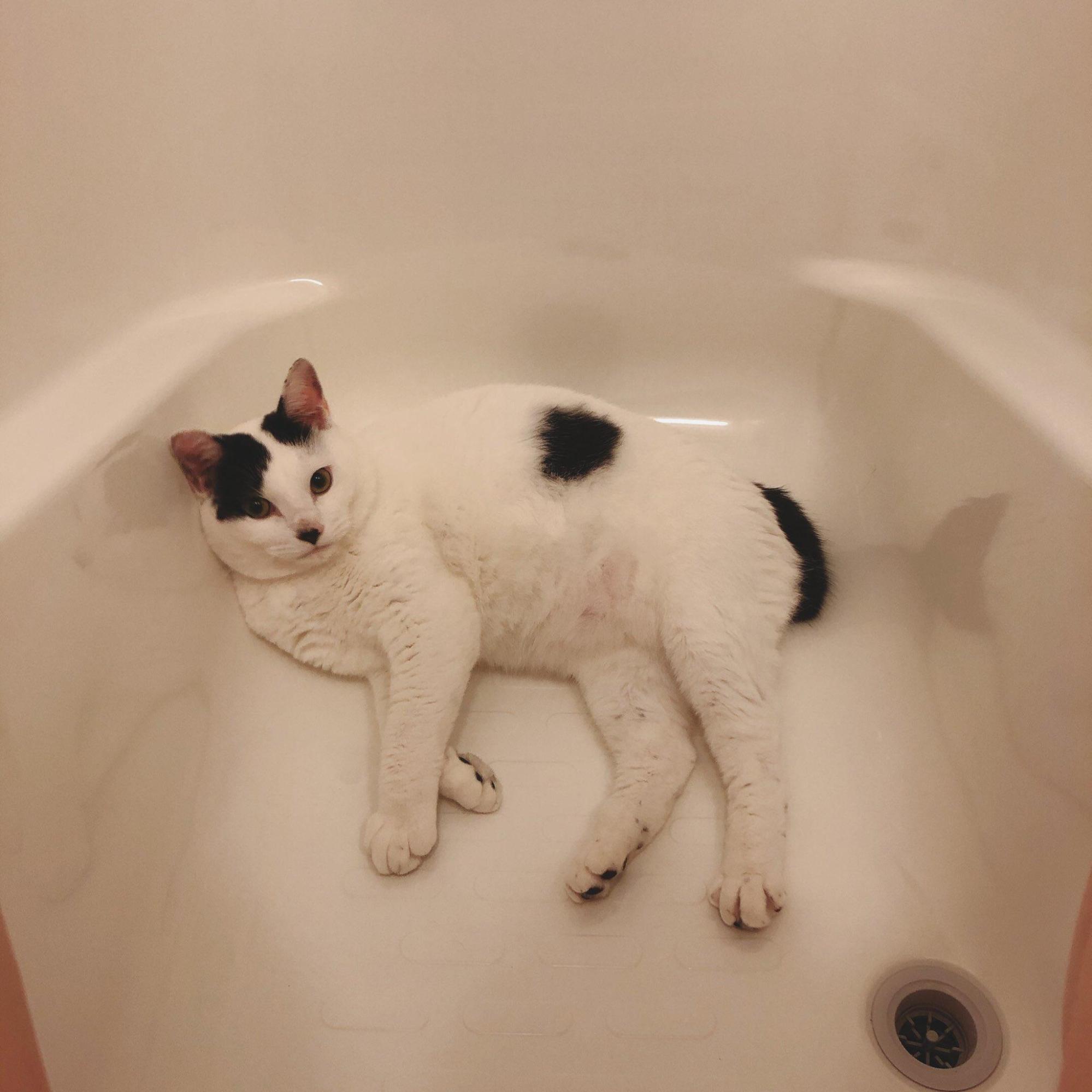 大きくなった福太郎くん