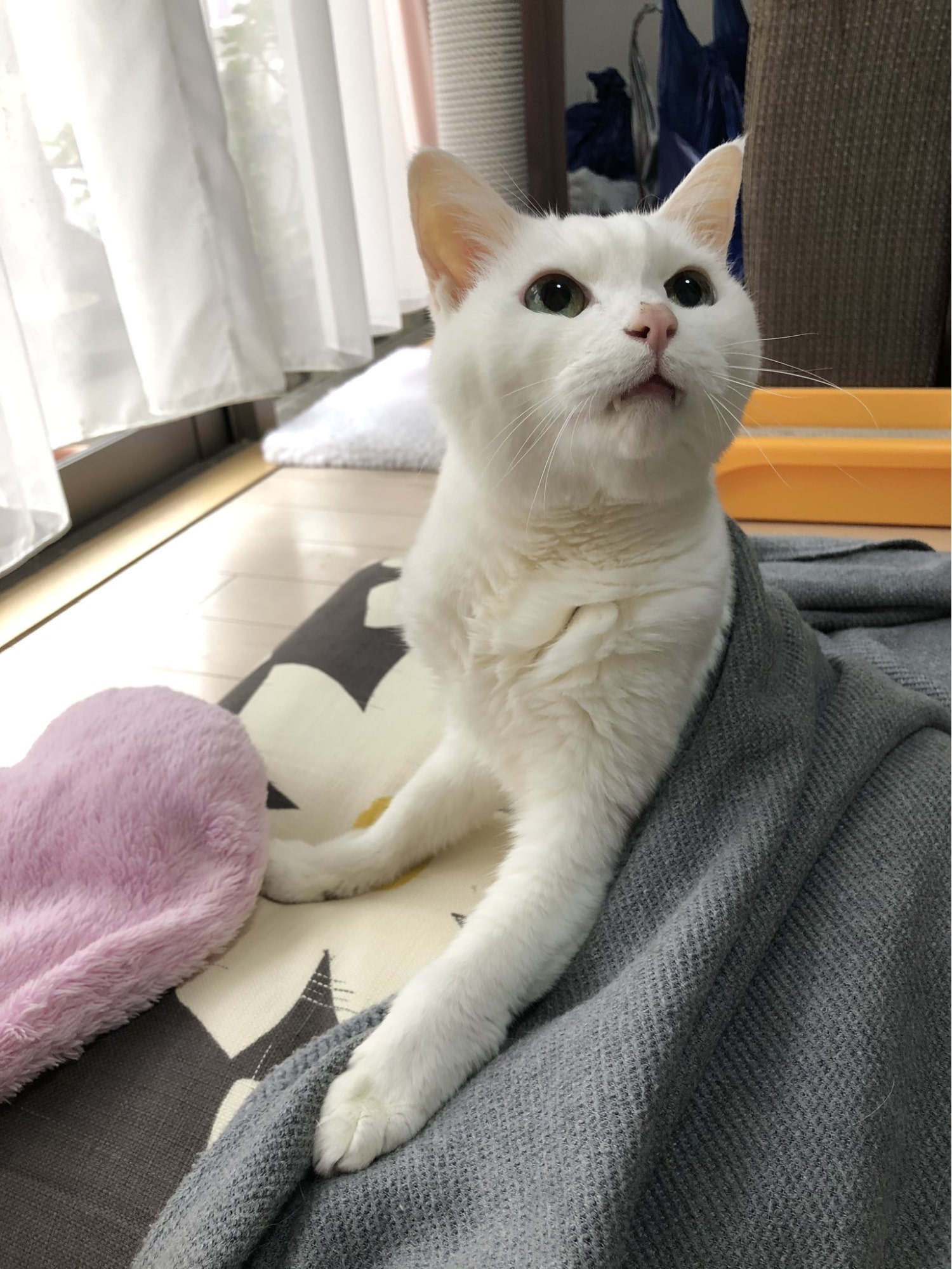 家族のサポートのもとで、懸命に闘病