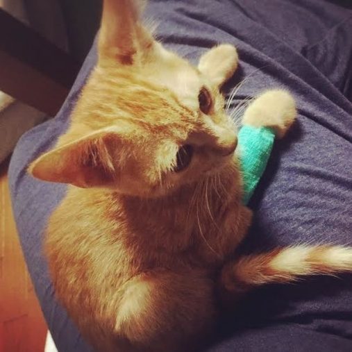 夜間救急病院から退院した日