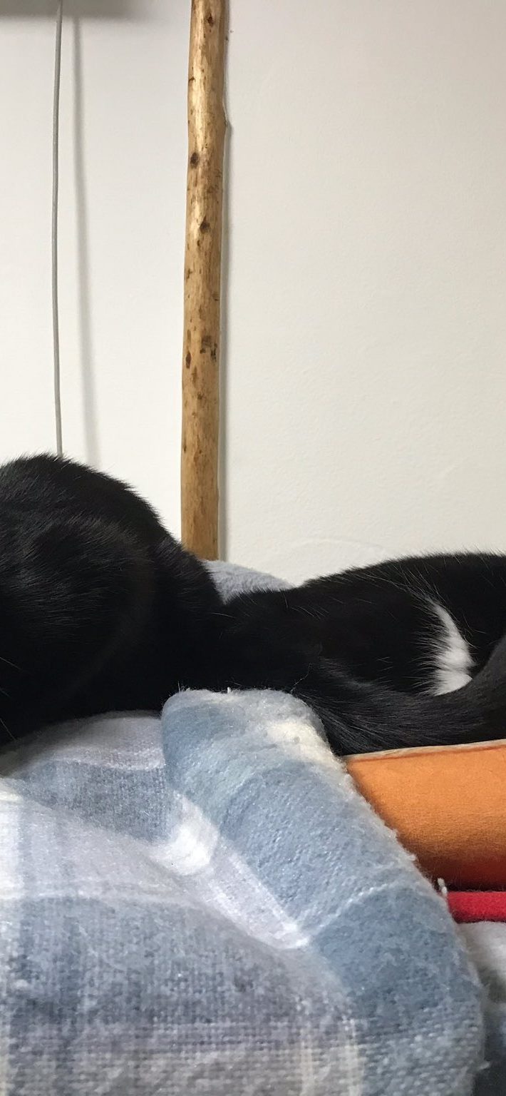 てんてんくんはタビ子ちゃんのことが未だに苦手