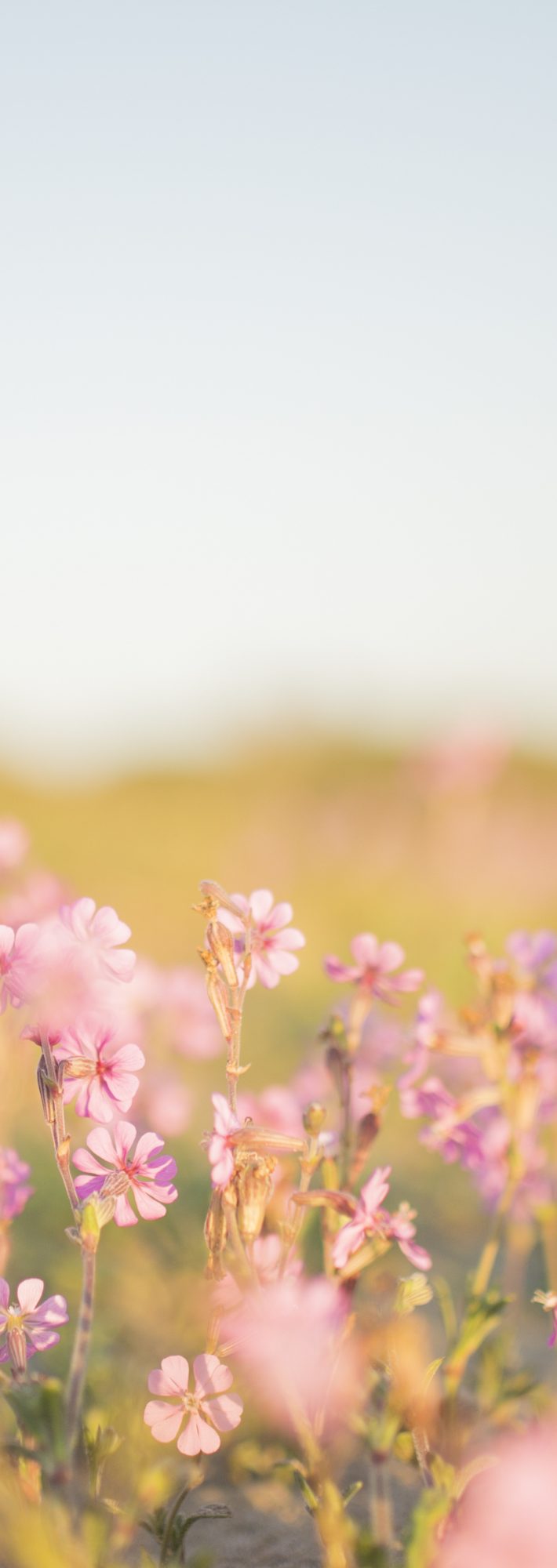 森林の回答・性活相談190回