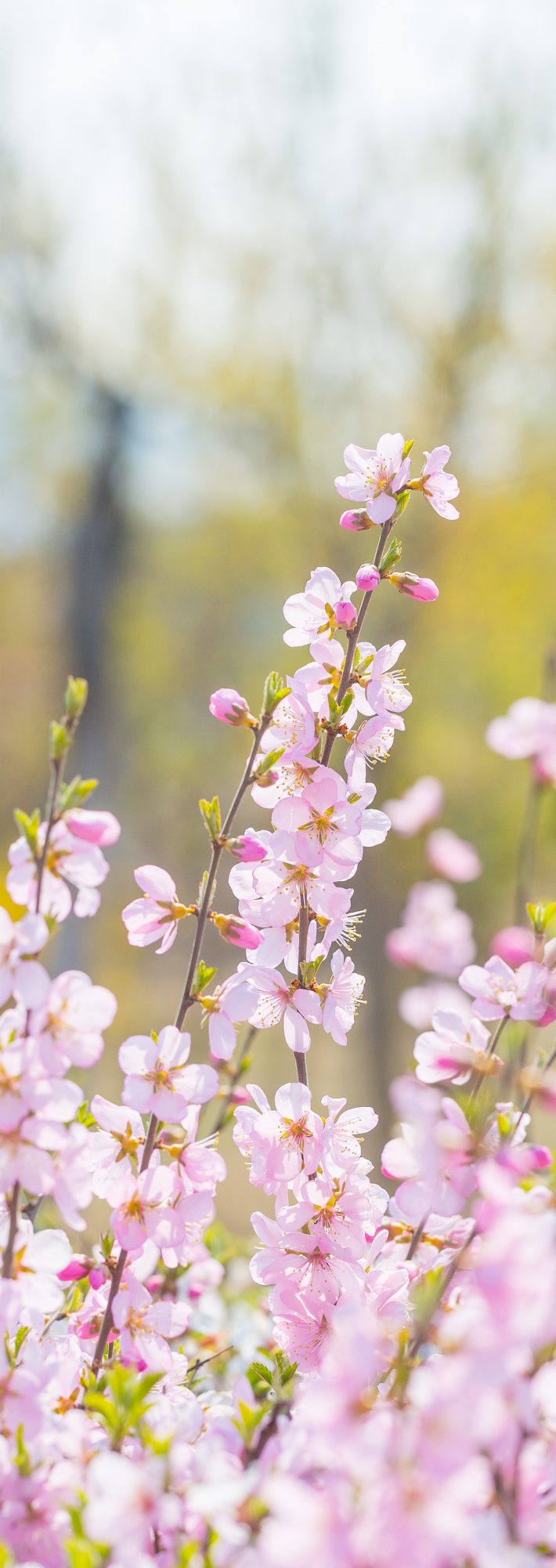 愛とはある感情の瞬間的状態のこと