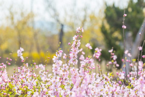 良い婚外恋愛してほしい