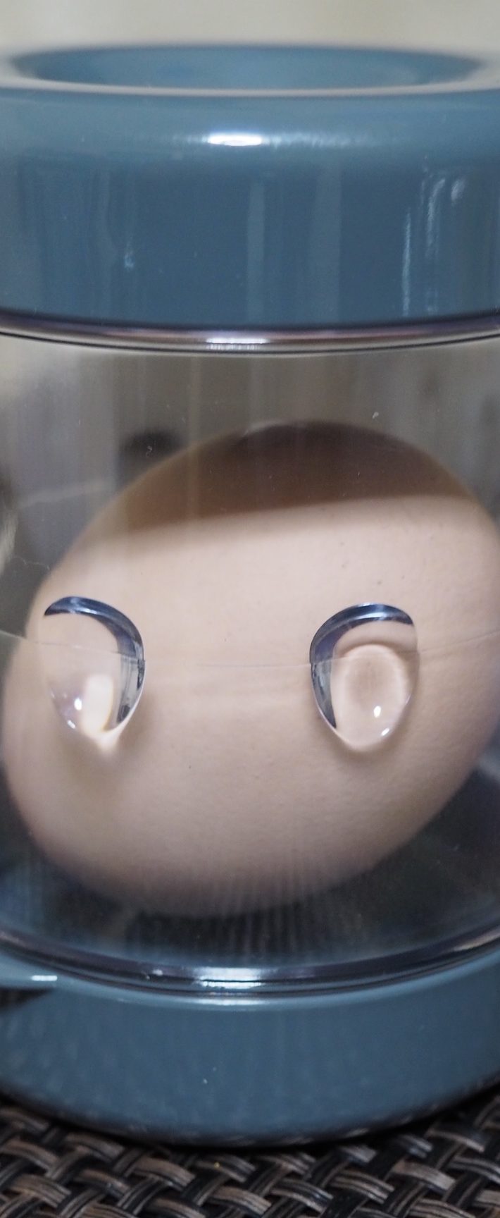 ゆで卵を1個、容器の中に入れる