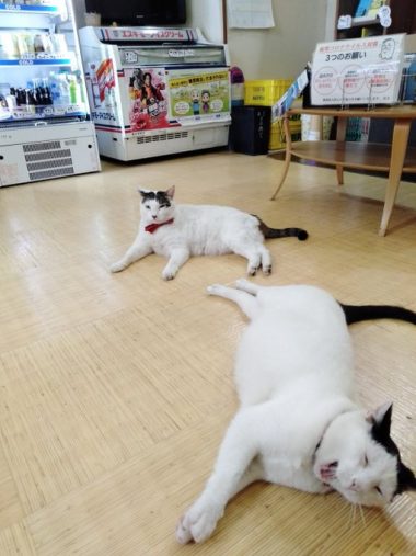 『天狗湯』のてんちゃんとぐーちゃん