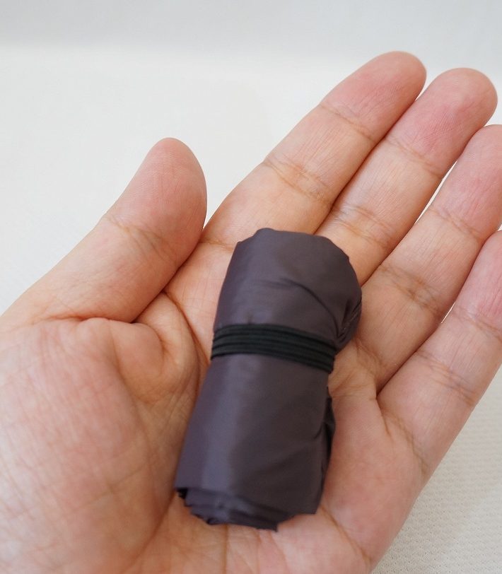 本当に小さい！