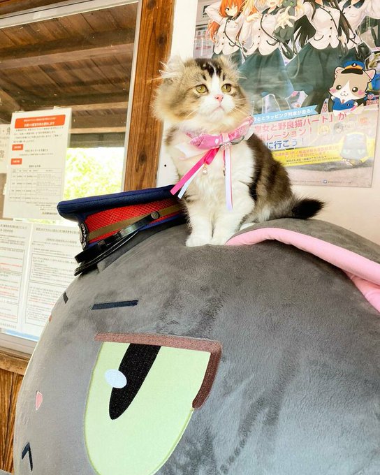 らぶの弟・さくら