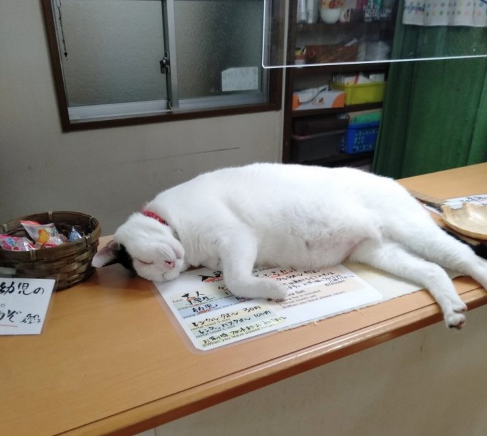 『天狗湯』のてんちゃんとぐーちゃん