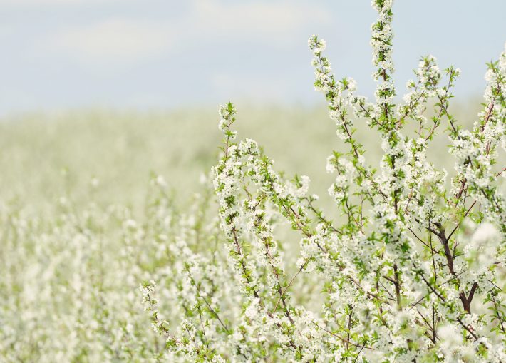 心の底の「覚悟」。死は特別なことじゃない